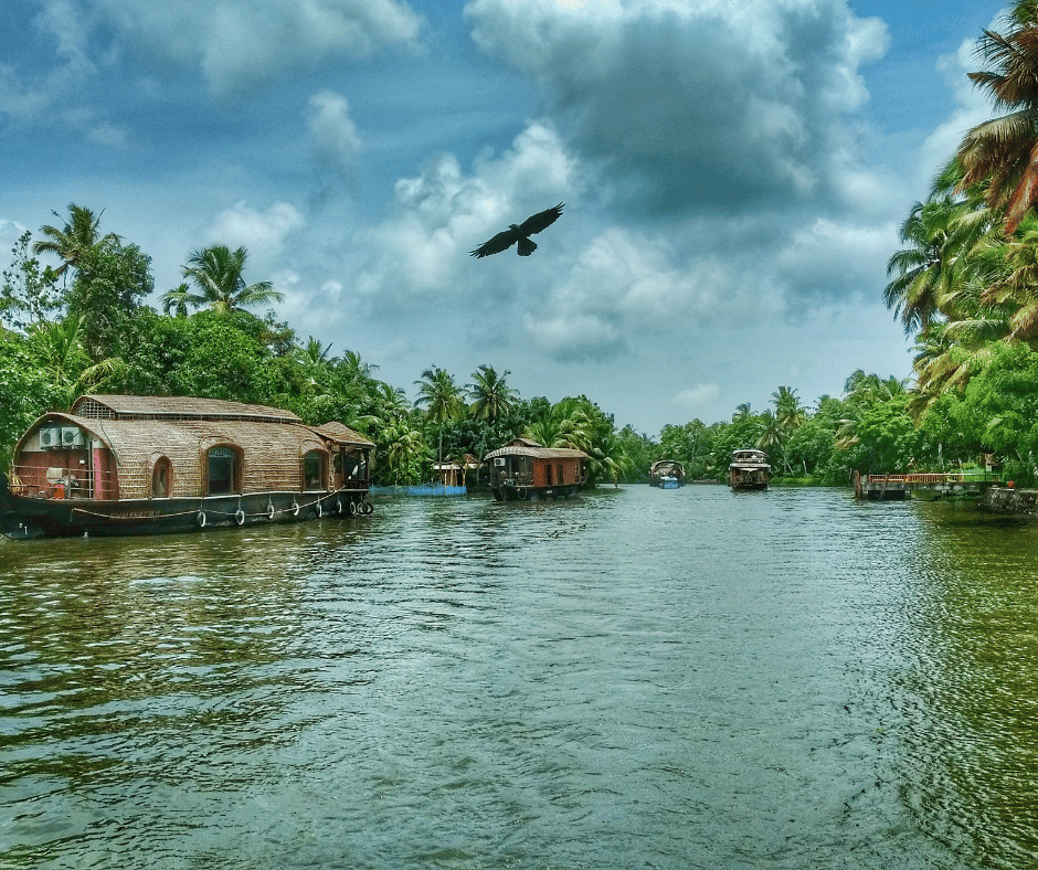 Alleppey Backwaters
